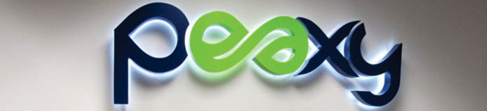 reclame polistiren luminoase